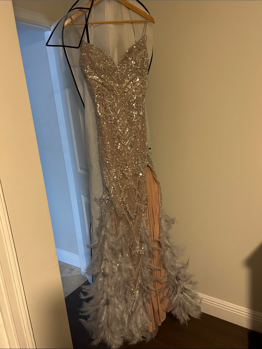 Embellished Feather-Trim Prom Dress in Champagne